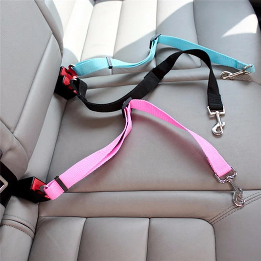 The Travel Safe Seatbelt