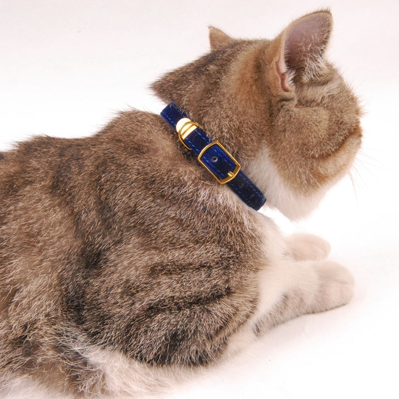 The Royal Velvet Collar