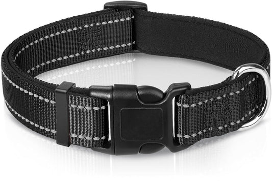 The Reflection Collar