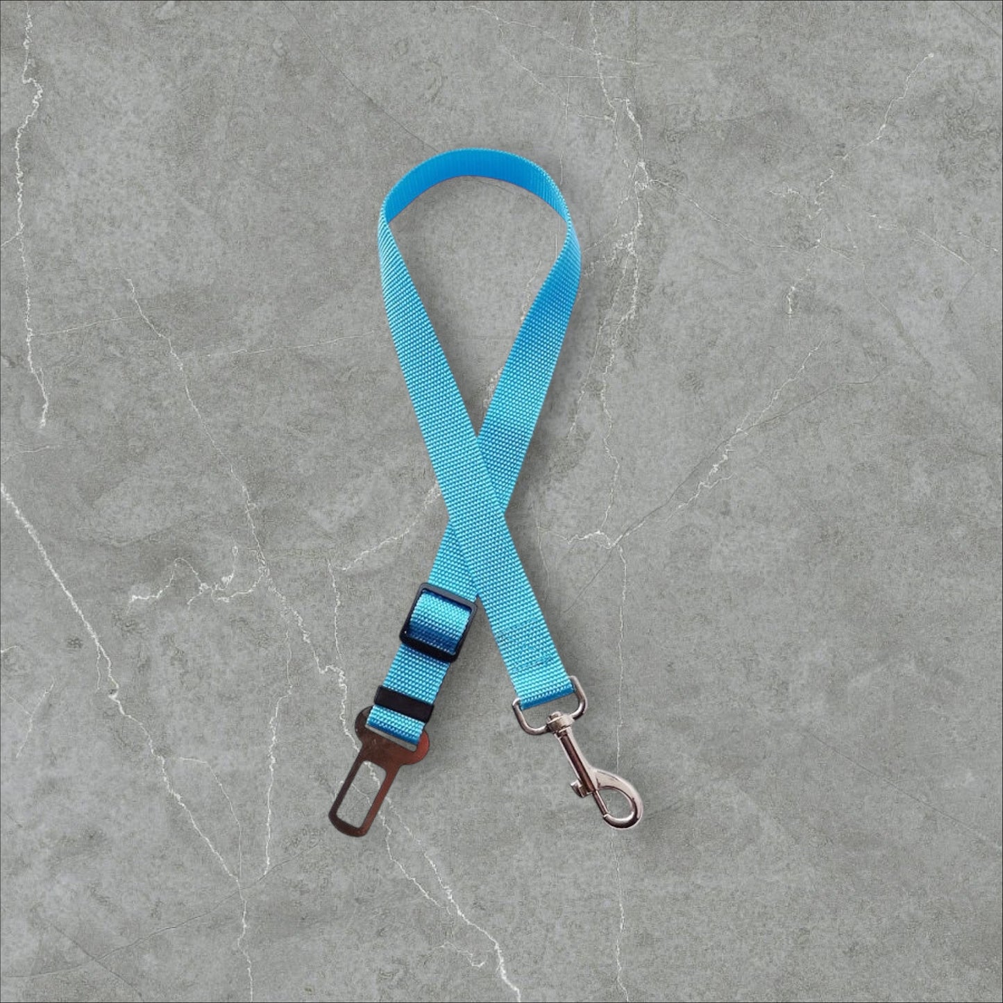 The Travel Safe Seatbelt