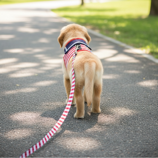 The Little Sailor Walk Set