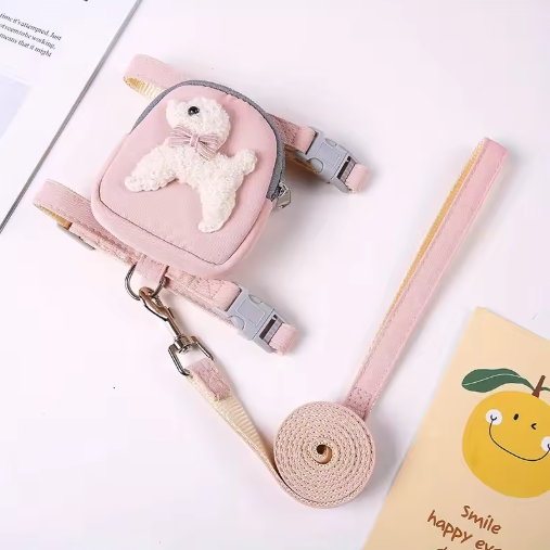 The Explorer Walk Set