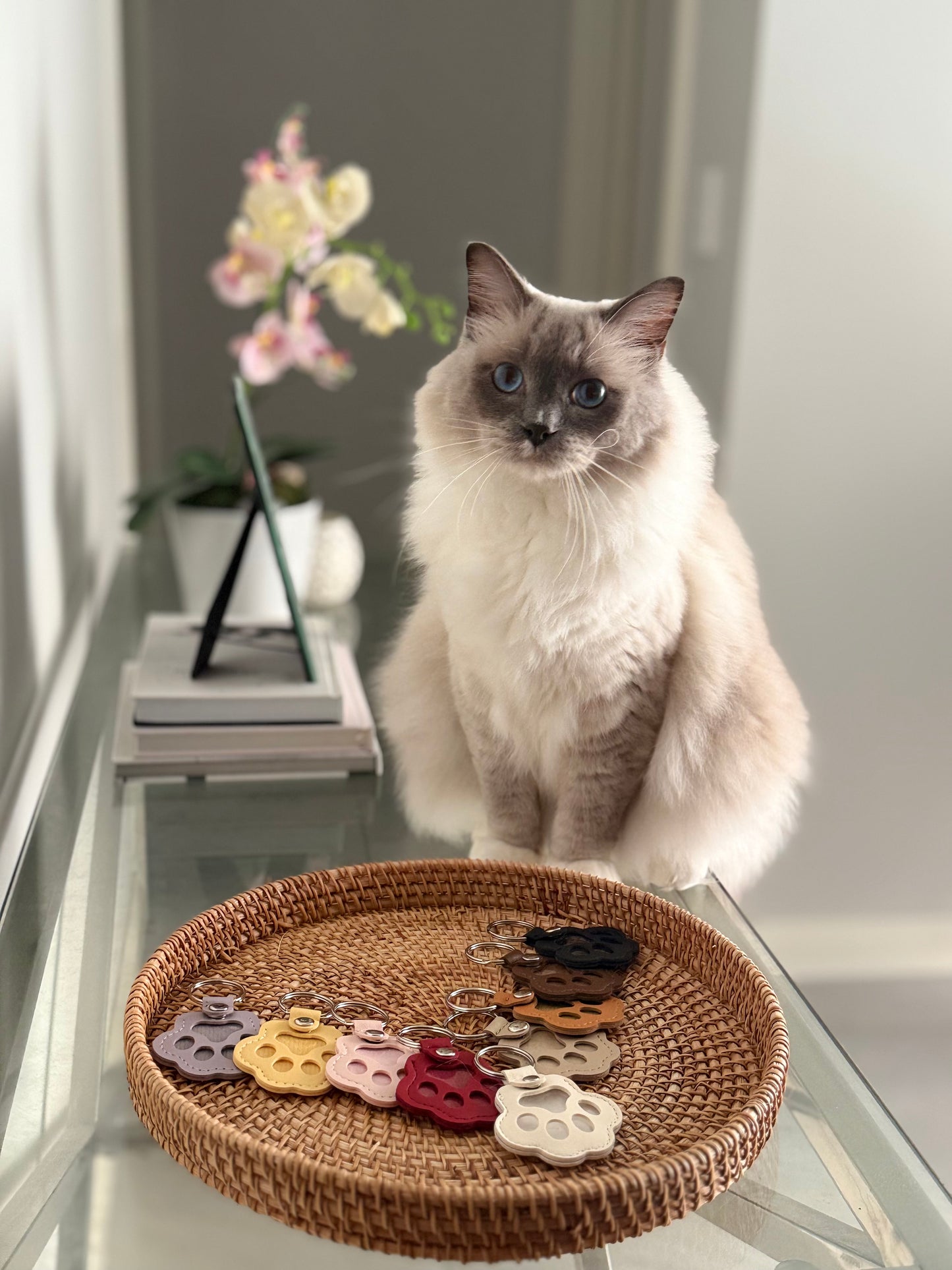 Pet Keepsake Keychain