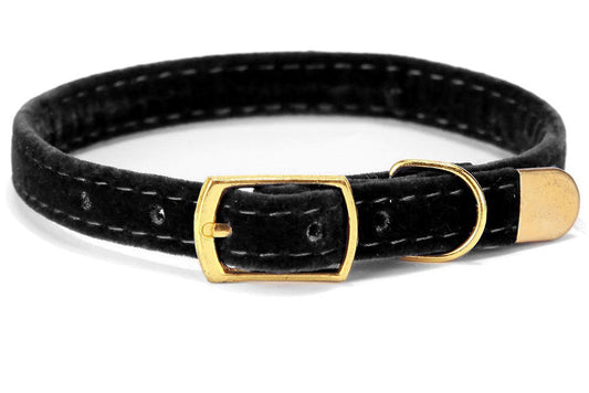 The Royal Velvet Collar