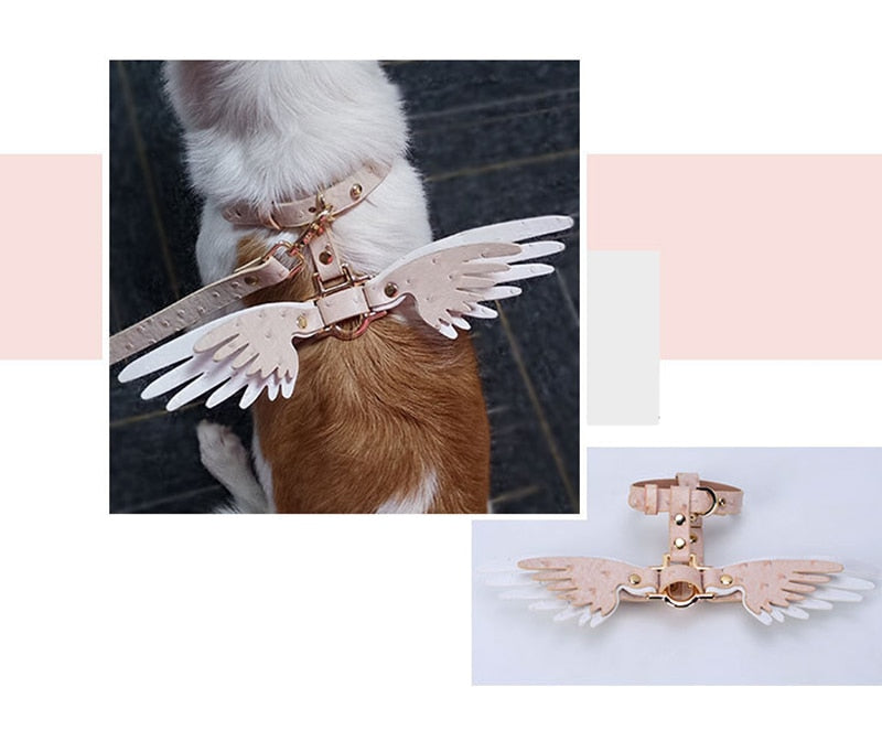 The Victoria Walk Set