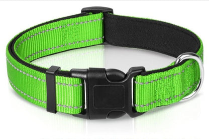 The Reflection Collar