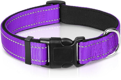 The Reflection Collar