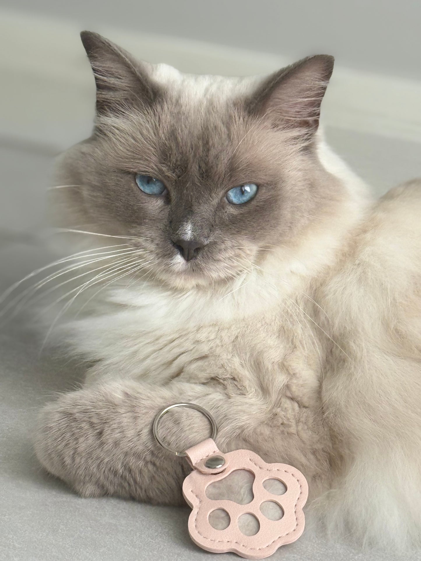 Pet Keepsake Keychain