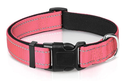 The Reflection Collar