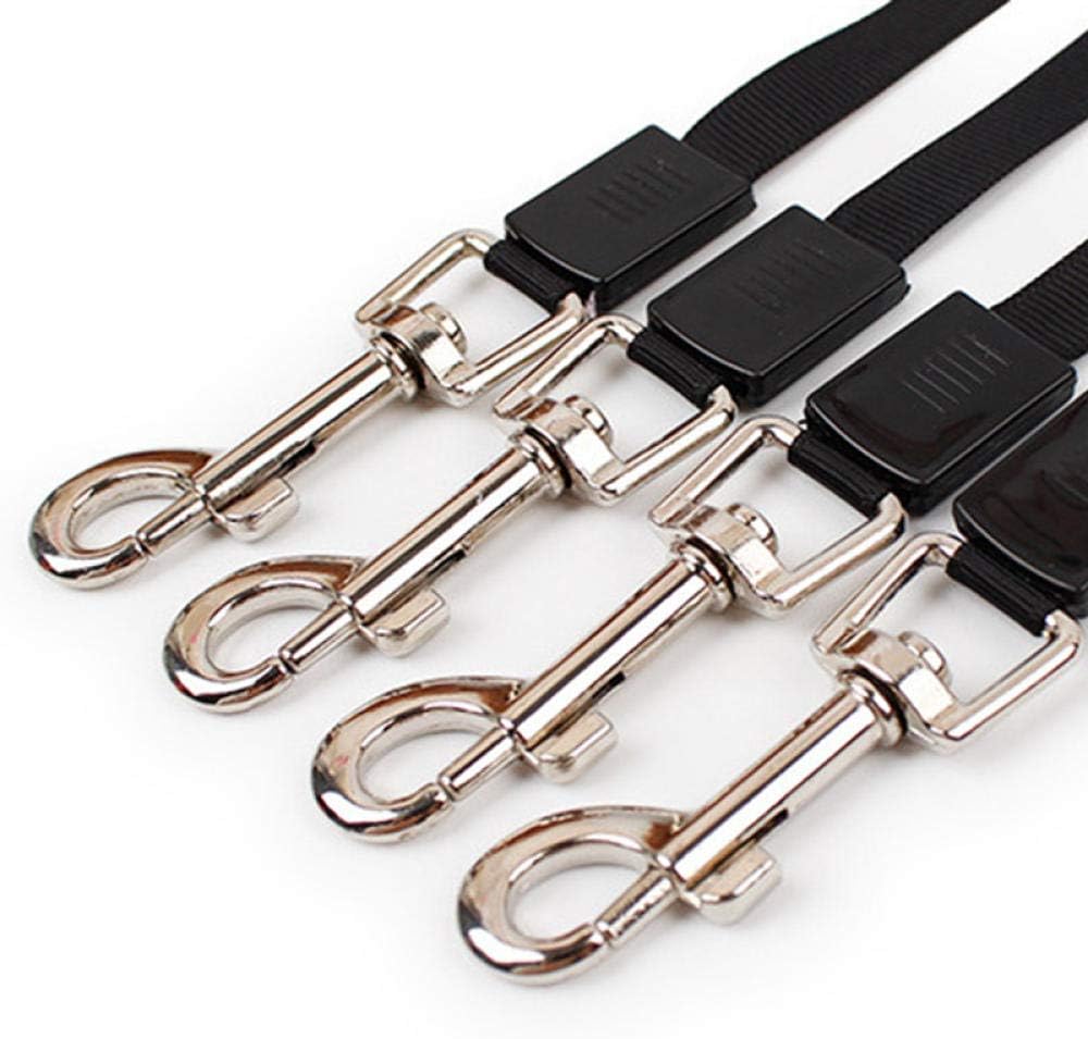 The Retractable Leash