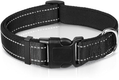 The Reflection Collar