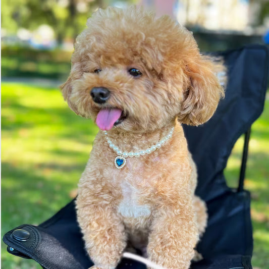 The Luxe Pearl Collar