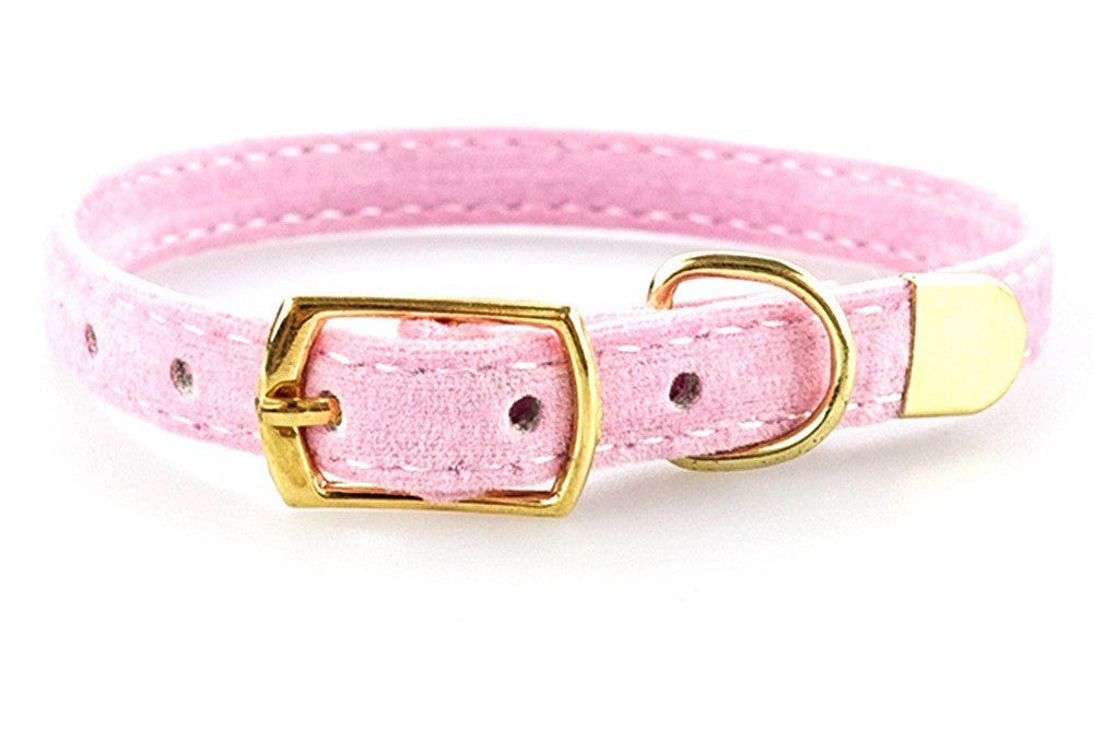 The Royal Velvet Collar