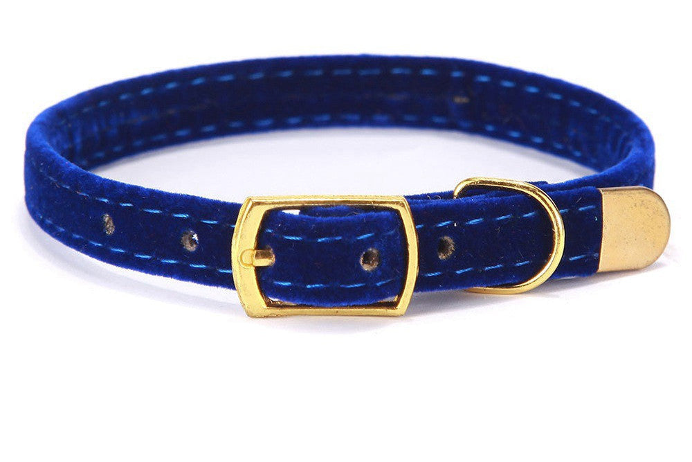 The Royal Velvet Collar