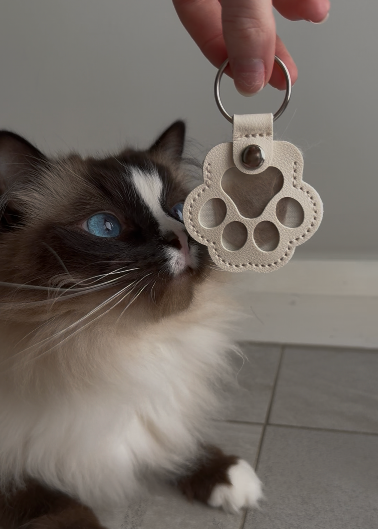Pet Keepsake Keychain