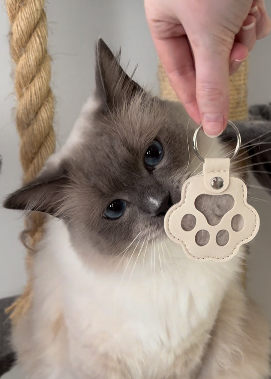 Pet Keepsake Keychain