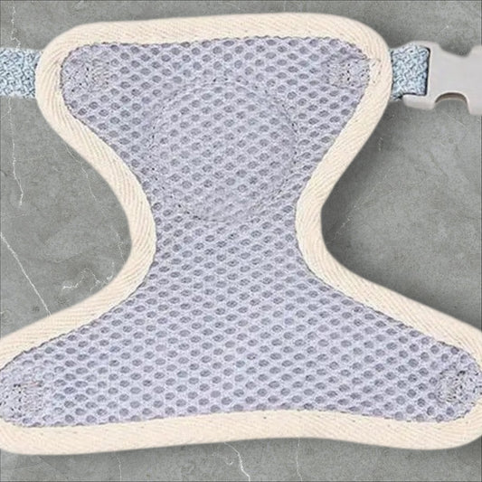 The Beary Cute Walk Set