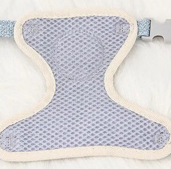 The Beary Cute Walk Set