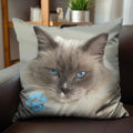 Personalised Pet Pillow