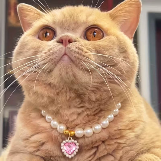 The Luxe Pearl Collar