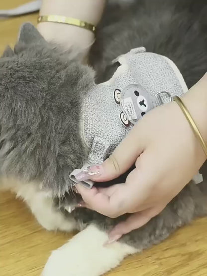 The Beary Cute Walk Set