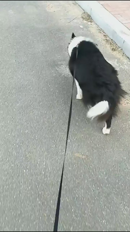 The Retractable Leash