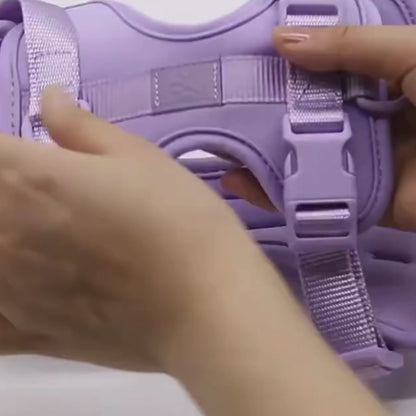 The Essential Walk Set